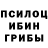 Псилоцибиновые грибы прущие грибы Sergiy Derkachuk