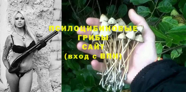 Альфа ПВП Зеленодольск