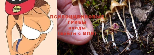 герыч Зеленокумск