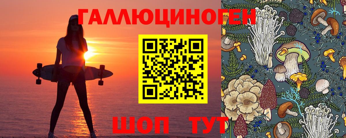 Касимов  Псилоцибиновые грибы прущие грибы  магазин    Вход с VPN 