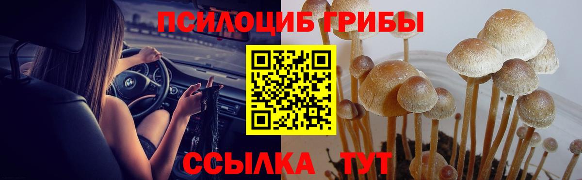 Галлюциногенные грибы прущие грибы Касимов